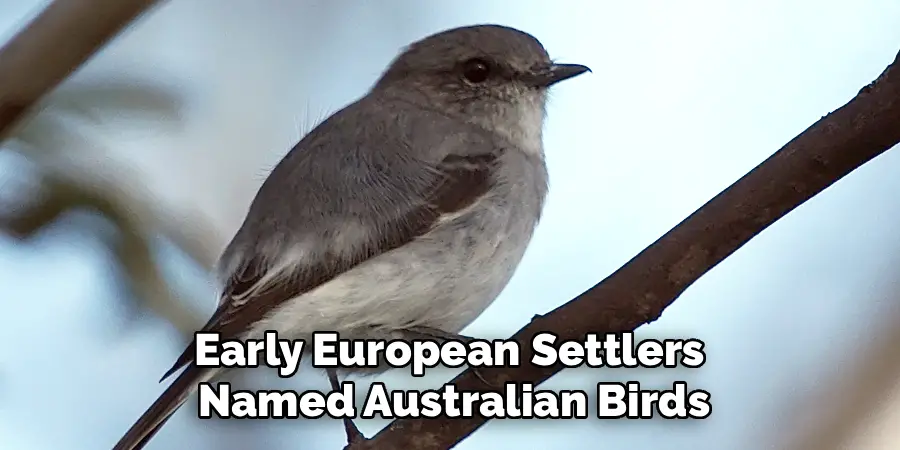 Early European Settlers
Named Australian Birds