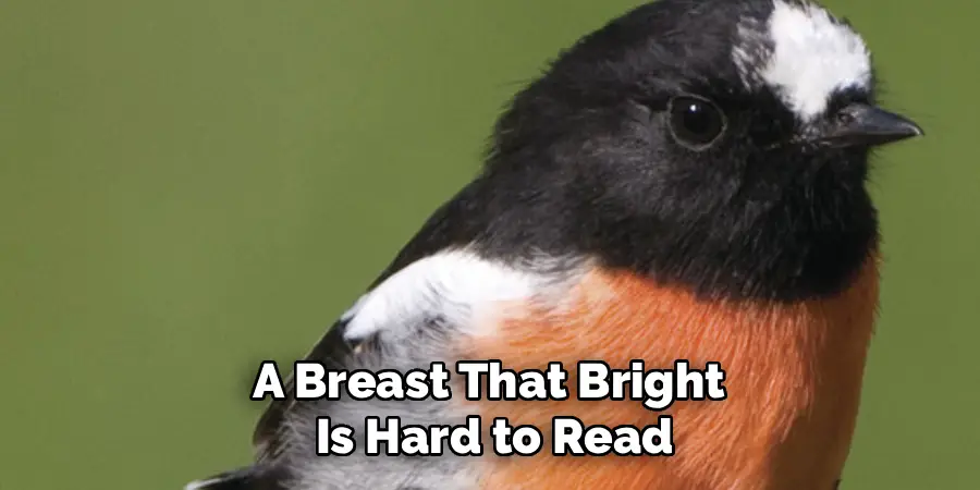 A Breast That Bright
Is Hard to Read