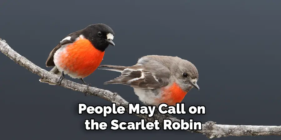 People May Call on
the Scarlet Robin