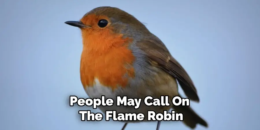 People may call on the flame robin