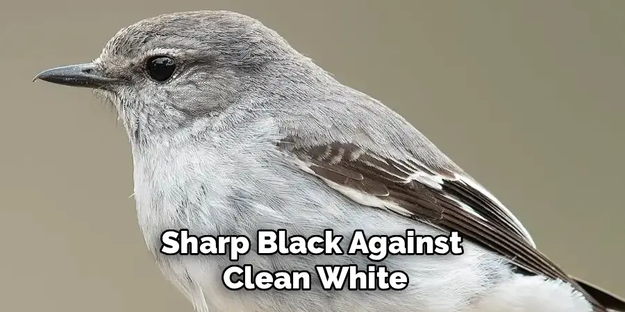 Sharp Black Against
Clean White