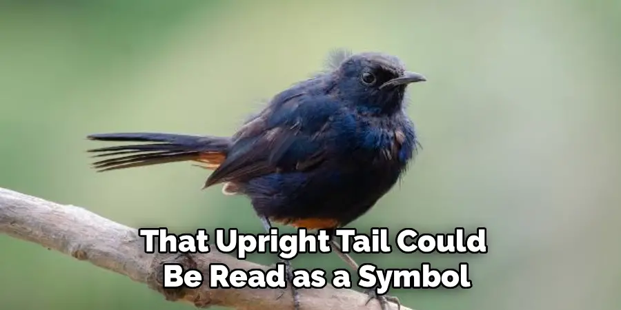 That Upright Tail Could
 Be Read as a Symbol