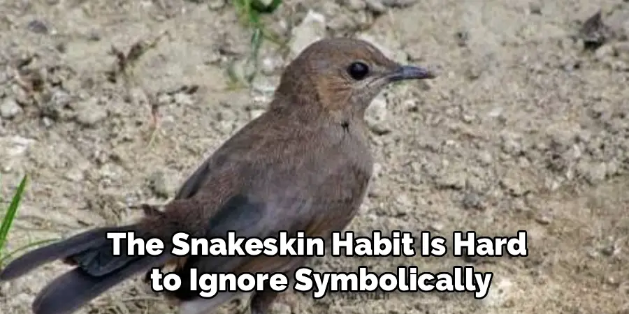 The snakeskin habit is hard to ignore symbolically